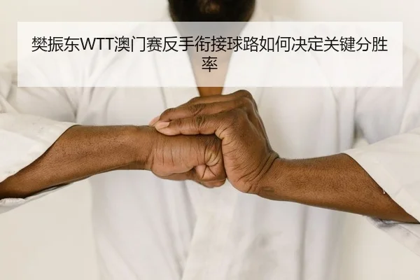 樊振东WTT澳门赛反手衔接球路如何决定关键分胜率